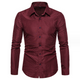 Men's Fashion Casual Business Long Sleeve Shirt