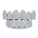 Vampire Teeth Zircon Braces