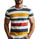 Men's Classic Casual Round Neck Slim Fit Cotton Short Sleeve T-Shirt
